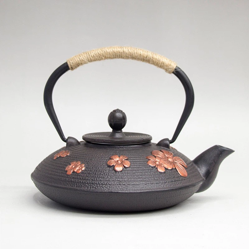 Chinese Style Cast Iron Teapot
