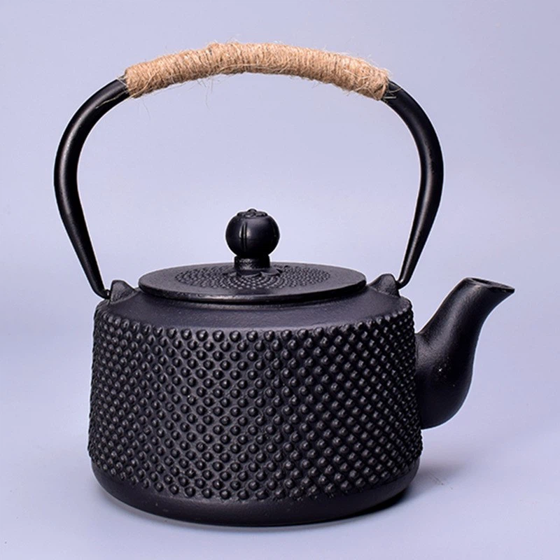 Chinese Style Cast Iron Teapot