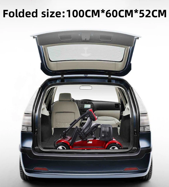 Electric Four-wheeler